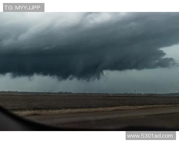 全球气候变化加剧各地灾害频发 专家呼吁加强国际合作应对气候挑战